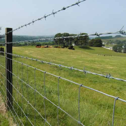 Double Strand Barbed Wire Fence - Enhanced Intruder Deterrence